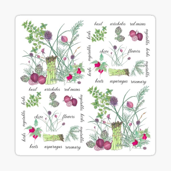 Item preview, Watercolor Botanical Herbs and Vegetables designed and sold by INFINITY FRIENDS Suzanne Wallisa.