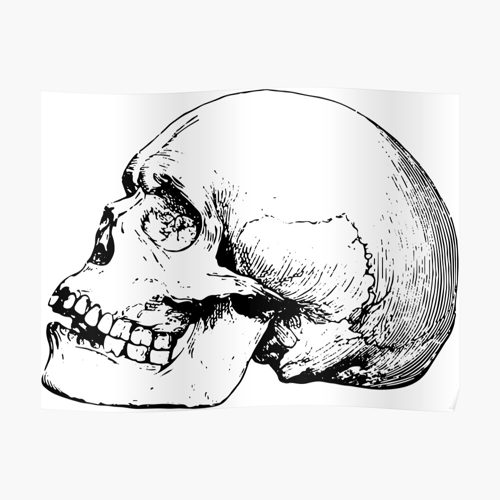 380 Human Skeleton Side View Drawing Illustrations RoyaltyFree Vector  Graphics  Clip Art  iStock
