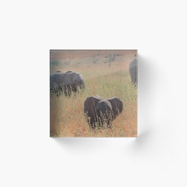 Item preview, Elephant Family designed and sold by Jenna-Grieve.