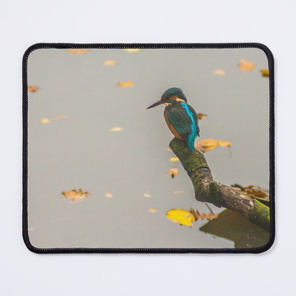 Item preview, Kingfisher Waiting For Lunch designed and sold by LluniauDafyddEm.