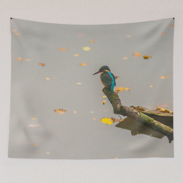 Item preview, Kingfisher Waiting For Lunch designed and sold by LluniauDafyddEm.