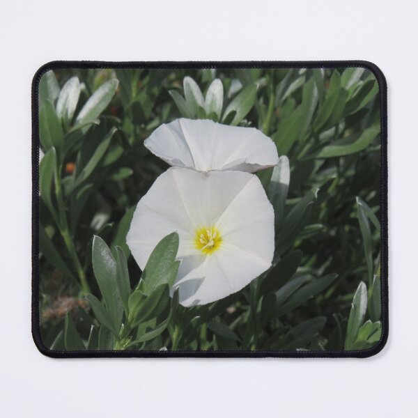 Item preview, Shrubby bindweed designed and sold by greentiger1.