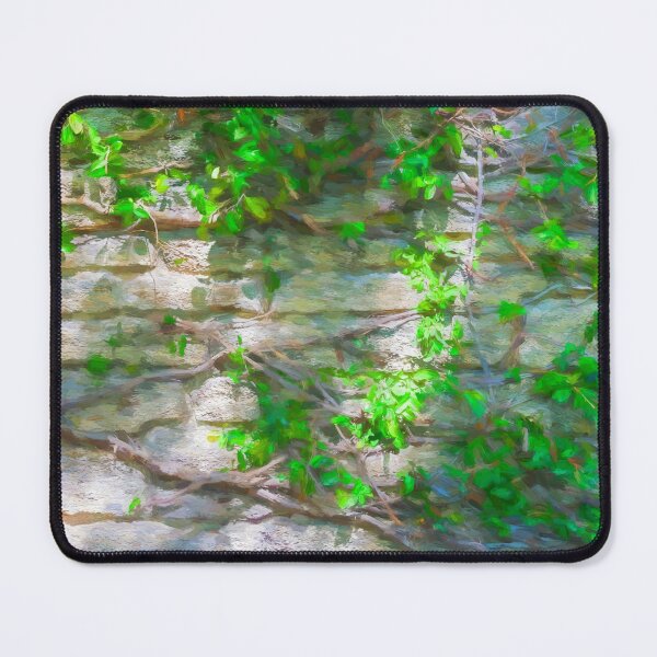 Item preview, Old Coquina Wall St Augustine designed and sold by RichFrancoCars.