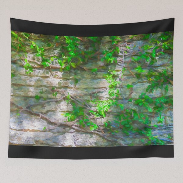 Item preview, Old Coquina Wall St Augustine  designed and sold by RichFrancoCars.
