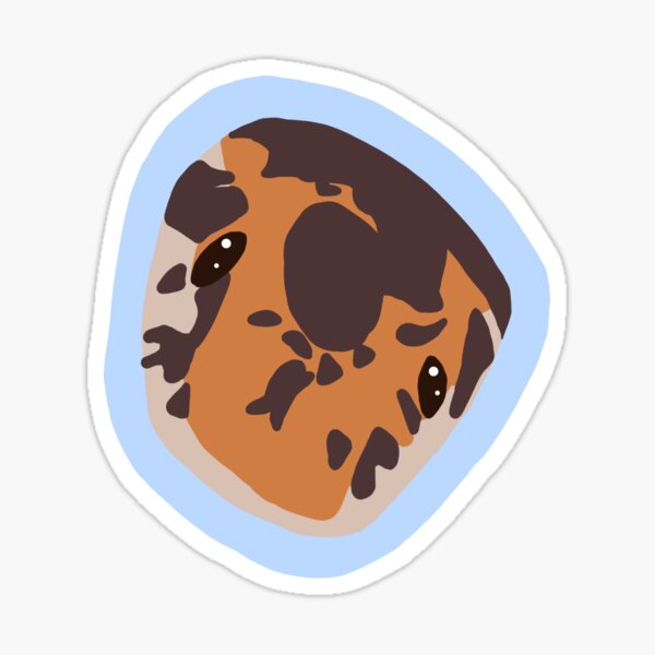 Cute Sand Boa Face Sticker
