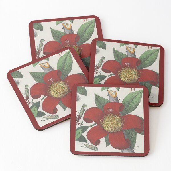 Item preview, Red cotton tree. Bombax ceiba designed and sold by Lloyd Library & Museum.