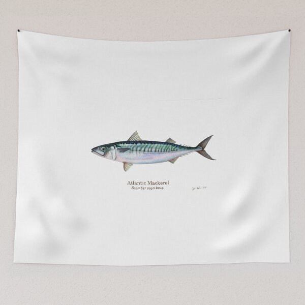Item preview, Atlantic mackerel designed and sold by SeaMonstress.