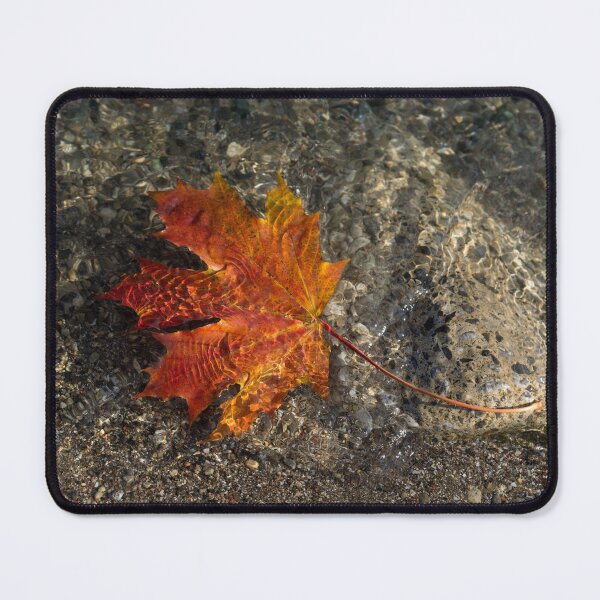 Item preview, Maple Leaf - Playful Sunlight Patterns designed and sold by Georgia Mizuleva.