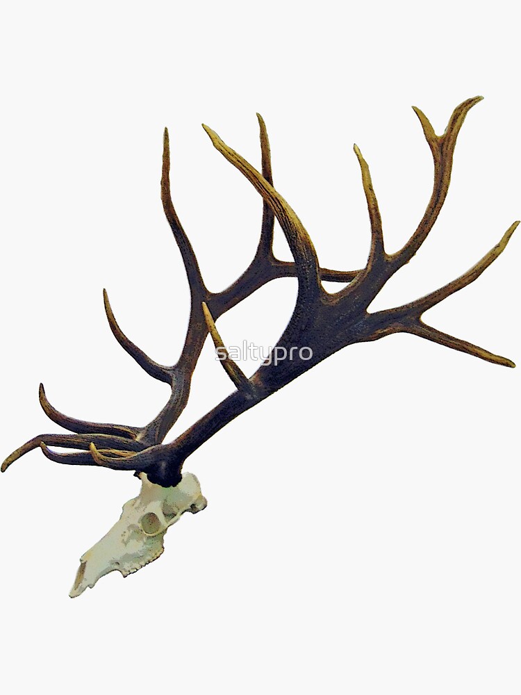  Elk Skull Decal - Elk Hunting Sticker - European Mount