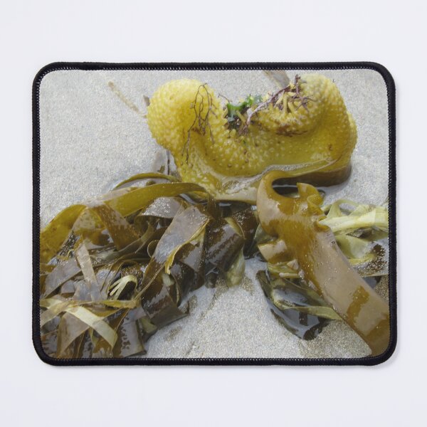 Item preview, Yellow Seaweed - Wembury Beach UK designed and sold by lezvee.