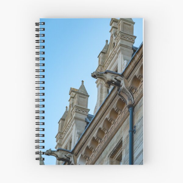 Item preview, Gothic gargoyles on historic building designed and sold by yackers1.