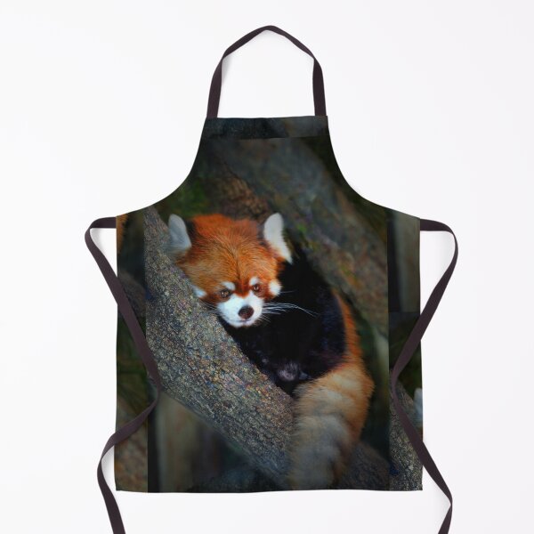 Item preview, Panda designed and sold by Savannah Gibbs.