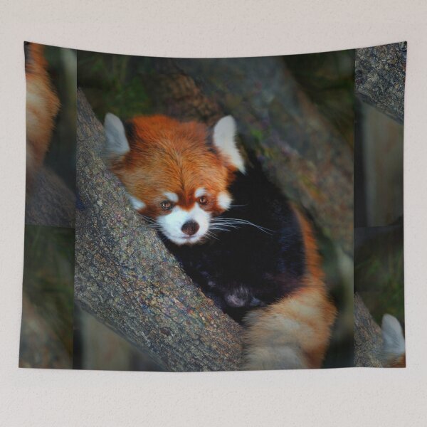 Item preview, Panda designed and sold by Savannah Gibbs.