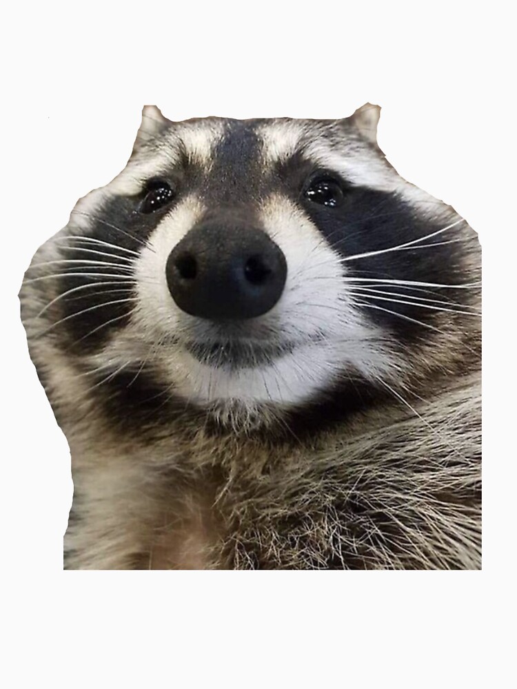 Sad Raccoon Meme T Shirt For Sale By Masoncarr2244 Redbubble Raccoon T Shirts Sad T 4638