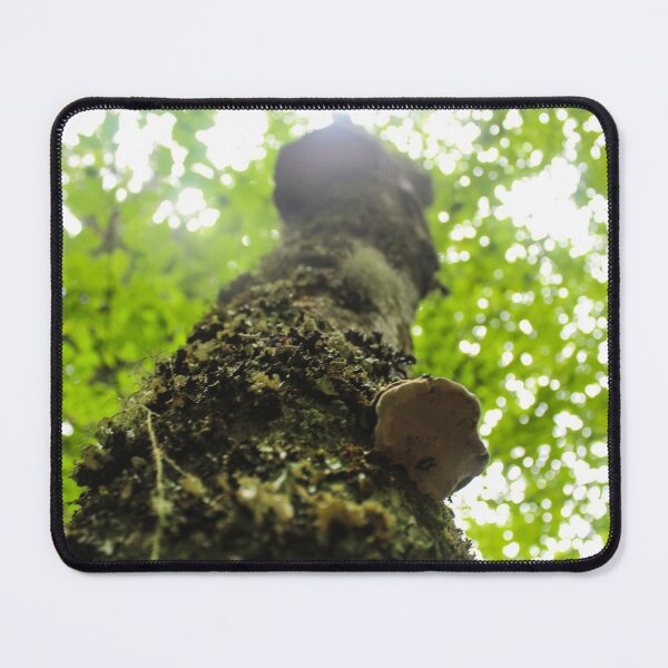 Item preview, Fungi Tree designed and sold by Sierra Wright.