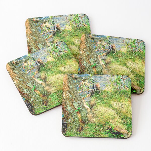 Item preview, Wilderness Mountain Stream designed and sold by AMacGPhilly.