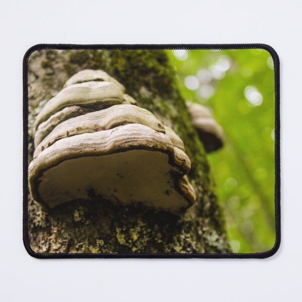 Item preview, Shelf Shroom designed and sold by Sierra Wright.