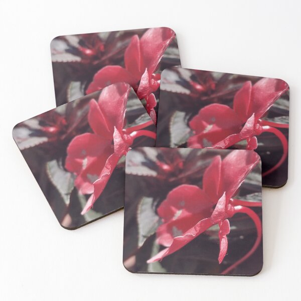 Item preview, Rosy Pink Begonia Flower - Closeup Bloom  designed and sold by branaghbel.