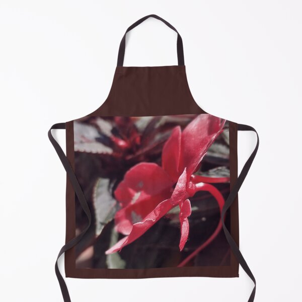 Item preview, Rosy Pink Begonia Flower - Closeup Bloom designed and sold by branaghbel.