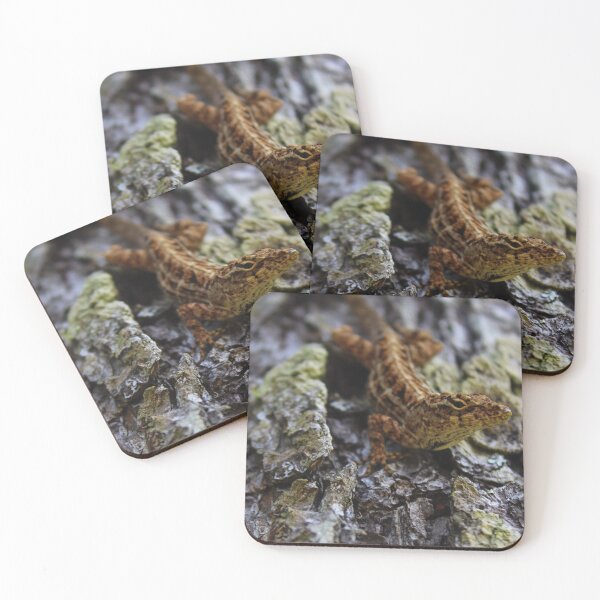 Item preview, Curious Lizard designed and sold by Sierra Wright.