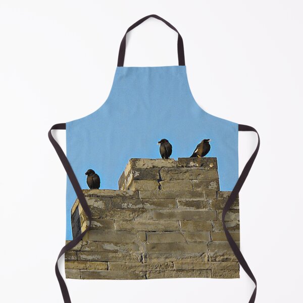 Item preview, Wall Birds designed and sold by Ethna Gillespie.