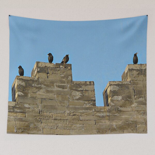 Item preview, Wall Birds  designed and sold by Ethna Gillespie.