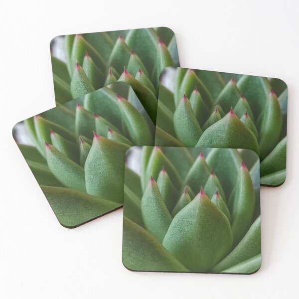 Item preview, Vintage Green Cactus  Succulent SEMPERVIVUM designed and sold by branaghbel.