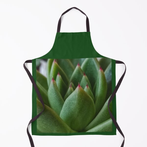 Item preview, Vintage Green Cactus Succulent SEMPERVIVUM designed and sold by branaghbel.