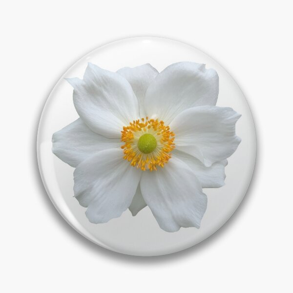 Item preview, White Anemone Flower Still Life Floral Photography designed and sold by CottoVerdi.