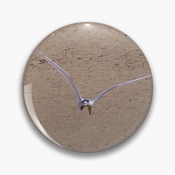 Item preview, Been Fishing - Greater Crested Tern, Penguin Island WA designed and sold by lezvee.