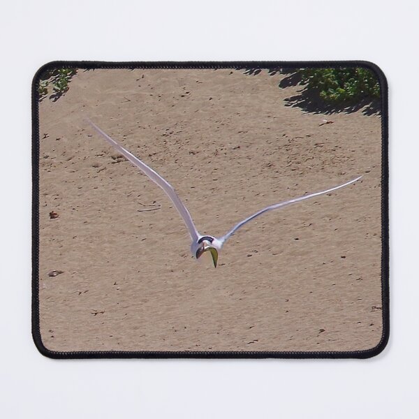 Item preview, Been Fishing - Greater Crested Tern, Penguin Island WA designed and sold by lezvee.