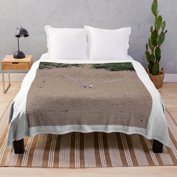 Item preview, Been Fishing - Greater Crested Tern, Penguin Island WA designed and sold by lezvee.