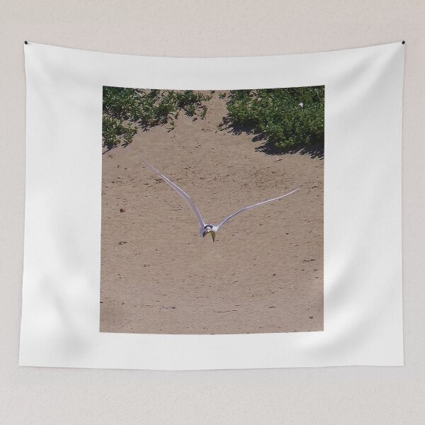 Item preview, Been Fishing - Greater Crested Tern, Penguin Island WA designed and sold by lezvee.
