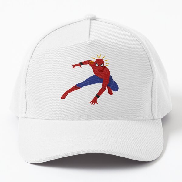 Spinnensinn Baseball Cap