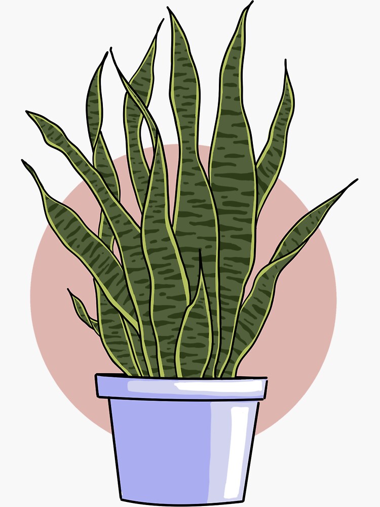 "Snake plant" Sticker for Sale by MarsOutlines Redbubble