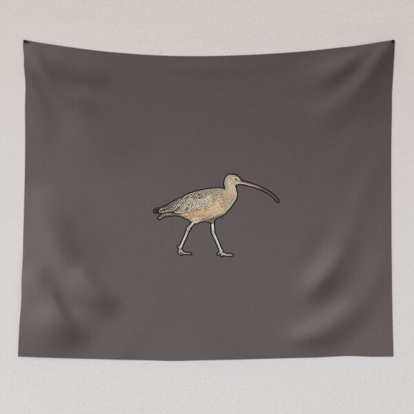 Item preview, Long-billed Curlew - Nature designed and sold by cvelasco88.