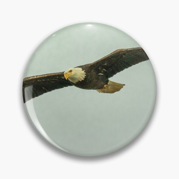 Item preview, American Bald Eagle In Flight designed and sold by FreelanceJim.