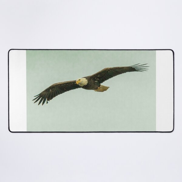 Item preview, American Bald Eagle In Flight designed and sold by FreelanceJim.