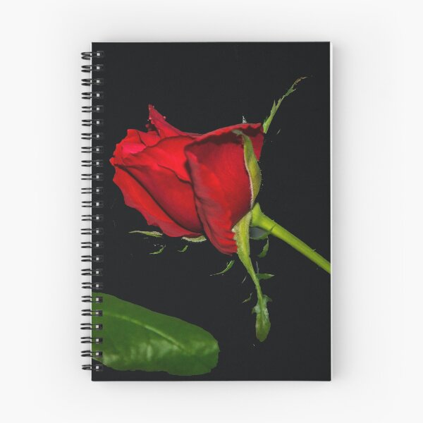 Item preview, A Red December Rose designed and sold by Bryan Spellman.