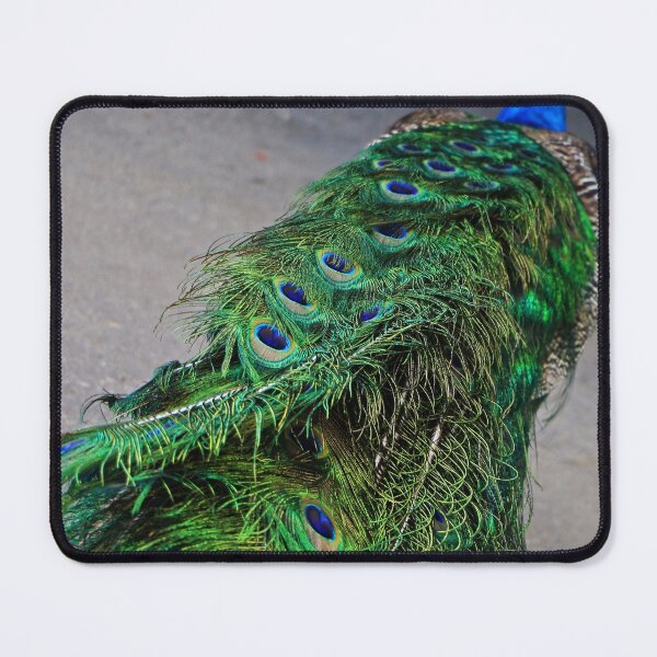 Item preview, Flashy designed and sold by Gralyn Boyd.