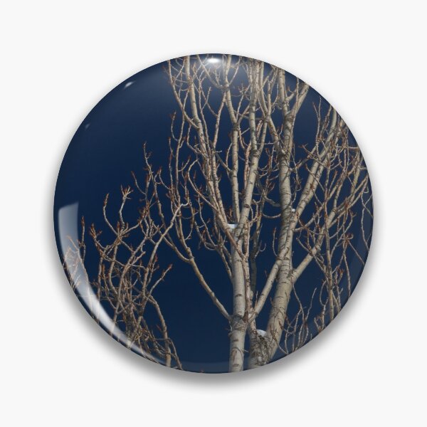 Item preview, dried trees  designed and sold by AHE-Design19.