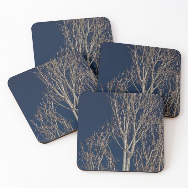 Item preview, dried trees  designed and sold by AHE-Design19.