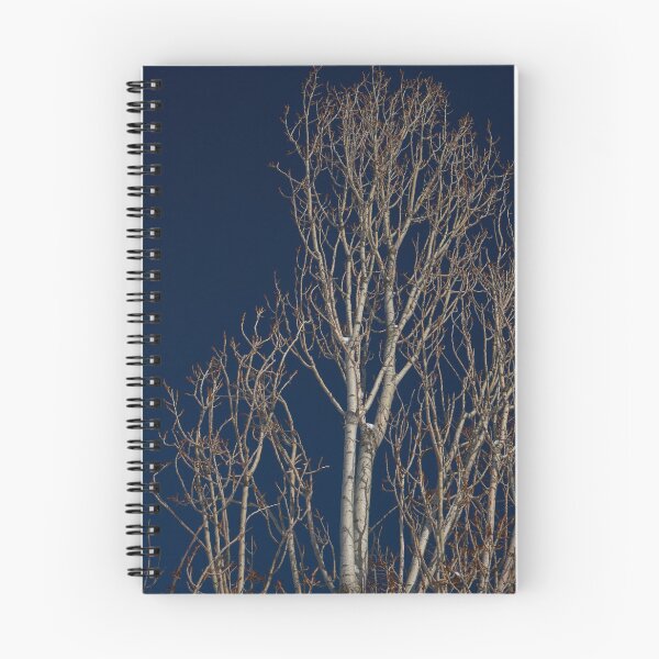 Item preview, dried trees  designed and sold by AHE-Design19.