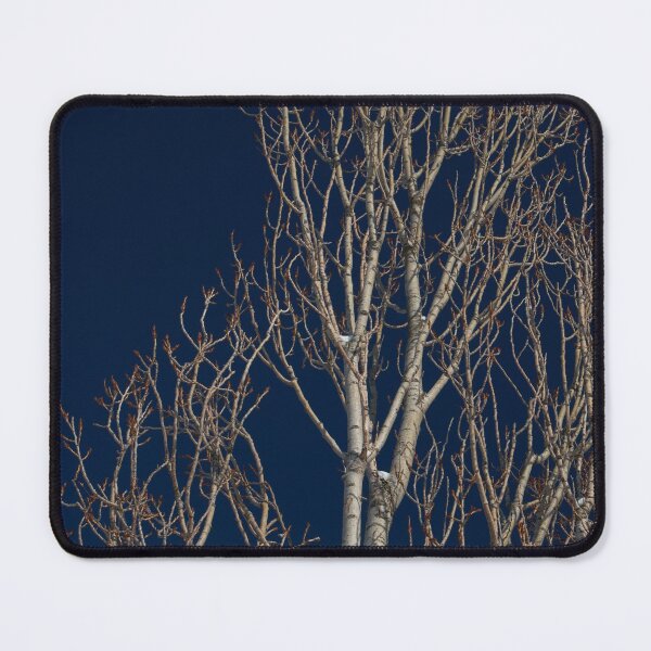 Item preview, dried trees  designed and sold by AHE-Design19.