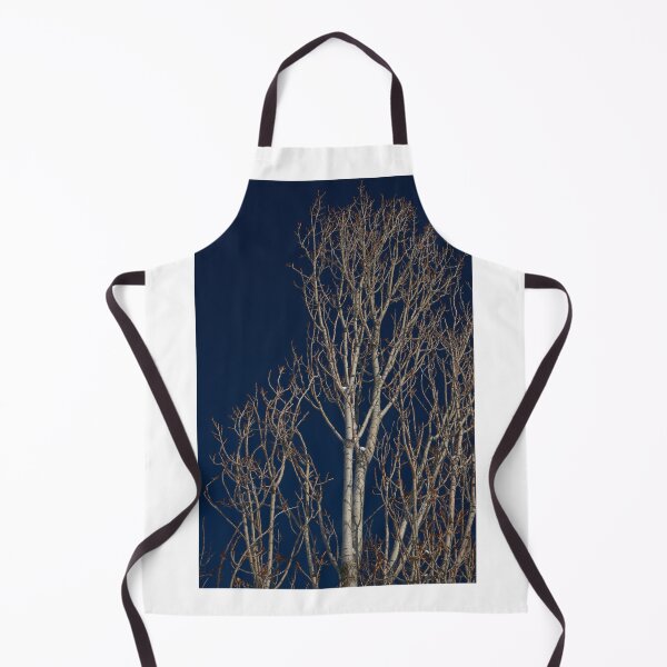 Item preview, dried trees  designed and sold by AHE-Design19.
