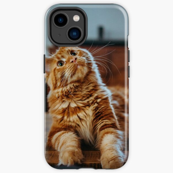 Cute cats best iphone 13 cases Coque antichoc iPhone