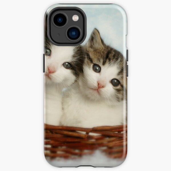 CopiCute cats best iphone 13 cases Coque antichoc iPhone