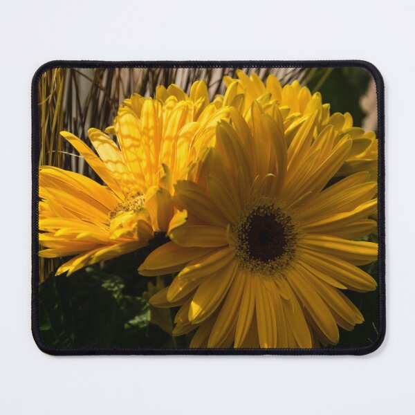 Item preview, Three Sunshine Yellow Gerbera Daisies designed and sold by Georgia Mizuleva.