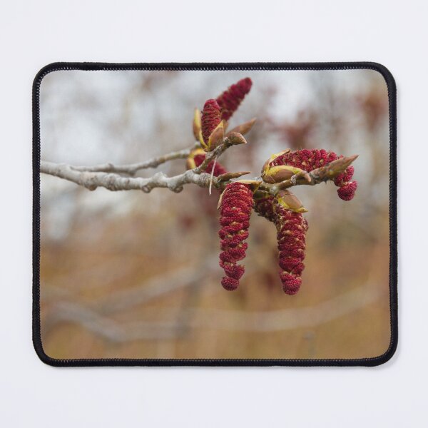 Item preview, Bright Red New Life in the Forest designed and sold by Georgia Mizuleva.