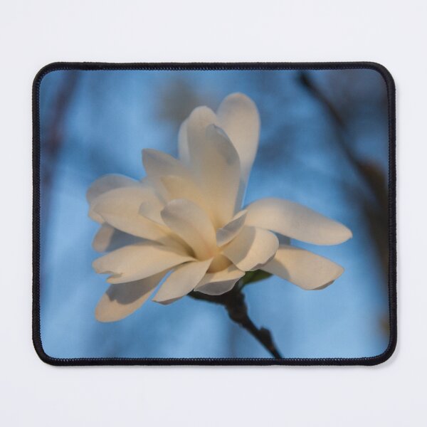 Item preview, Creamy, Dreamy Wild Magnolia in the Forest designed and sold by Georgia Mizuleva.